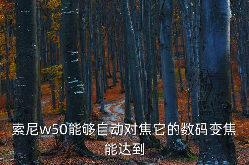 索尼w50，索尼w50能夠自動對焦它的數碼變焦能達到