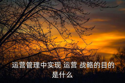 運營戰略,運營戰略分兩類包括遠期設施選址