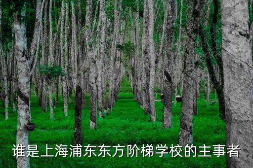 誰是上海浦東東方階梯學(xué)校的主事者