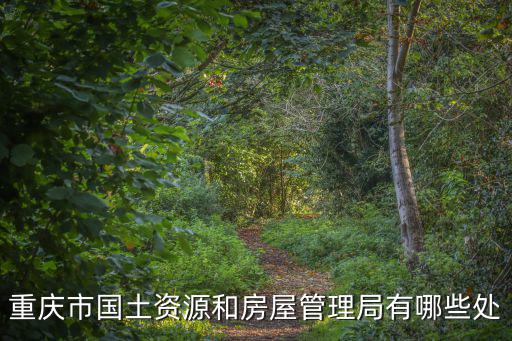 重慶市國土資源和房屋管理局有哪些處