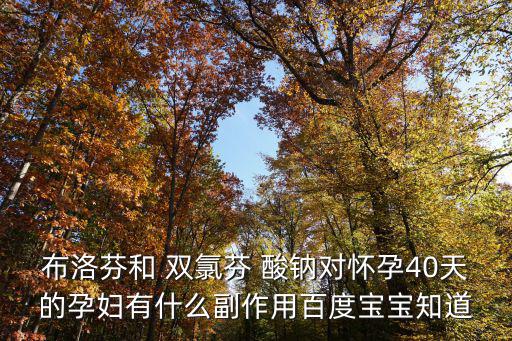 布洛芬和 雙氯芬 酸鈉對懷孕40天的孕婦有什么副作用百度寶寶知道
