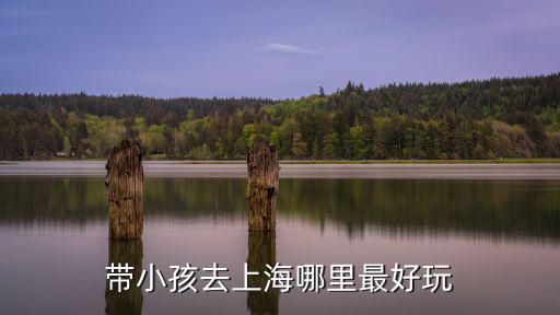 帶小孩去上海哪里最好玩