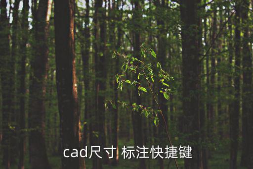 cad一鍵標注,cadsize標注快捷鍵如下