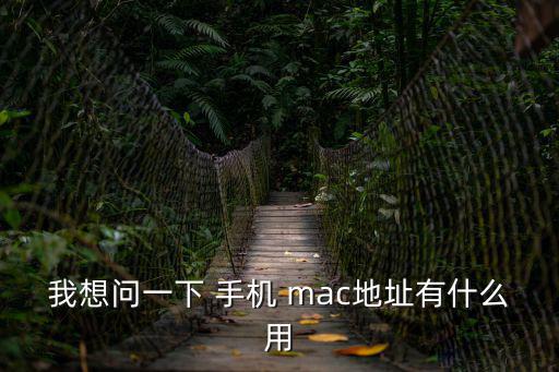 手機(jī)mac是什么,蘋果mac地址是手機(jī)網(wǎng)卡地址id