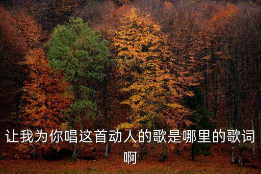 讓我為你唱這首動人的歌是哪里的歌詞啊