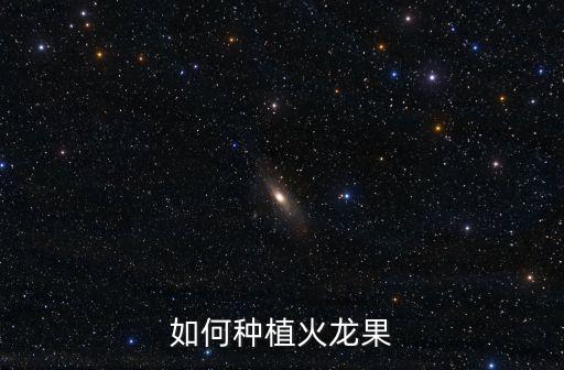 如何種植火龍果