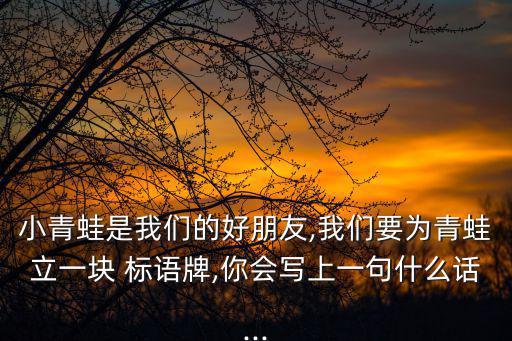 標語牌,中國的國家通用語是普通話