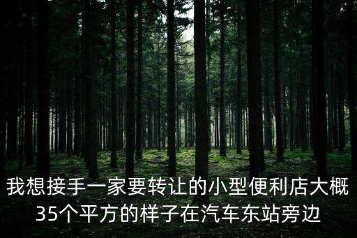 我想接手一家要轉讓的小型便利店大概35個平方的樣子在汽車東站旁邊