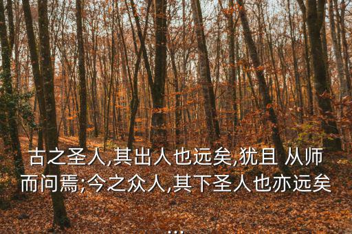 猶且從師而問焉的焉,從師是選個老師教遵循個政策的輔助成分