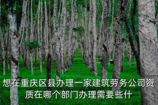 想在重慶區縣辦理一家建筑勞務公司資質在哪個部門辦理需要些什