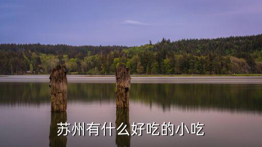 蘇州有什么好吃的小吃