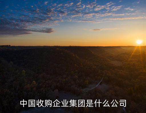 中國購,中國購物中心網主導并推動北京上海深圳等地評級發布會