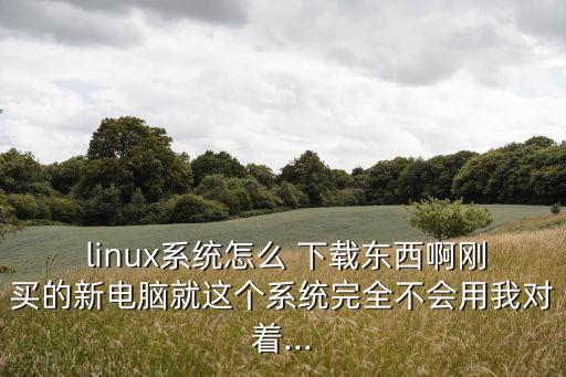 linux操作系統下載,linux操作系統必選配件