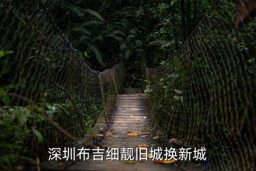 深圳布吉細(xì)靚舊城換新城