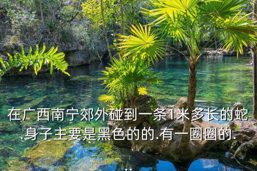 金錢蛇,銀環(huán)蛇、眼鏡蛇、竹葉青等蛇從何而來?