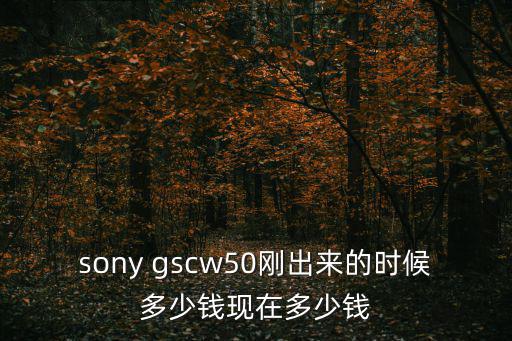 sony gscw50剛出來(lái)的時(shí)候多少錢現(xiàn)在多少錢