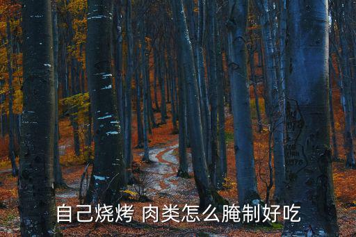 自己燒烤 肉類怎么腌制好吃