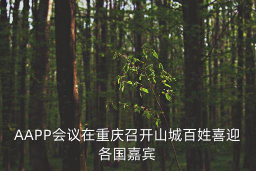 AAPP會議在重慶召開山城百姓喜迎各國嘉賓