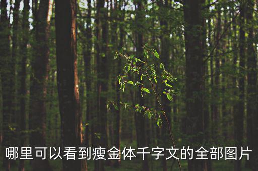 千字文瘦金體，瘦金體楷書千字文中月字的幾種寫法欣賞
