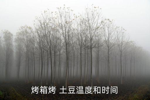 烤箱烤 土豆溫度和時間
