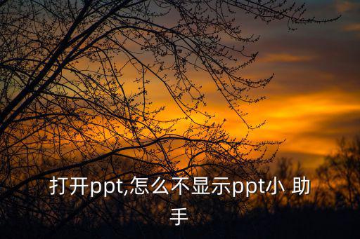 PPT助手,這些東西!從文件夾中找到!