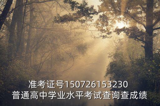 準考證號150726153230 普通高中學業水平考試查詢查成績