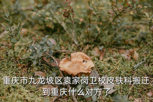 重慶市九龍坡區袁家崗衛校皮膚科搬遷到重慶什么對方了