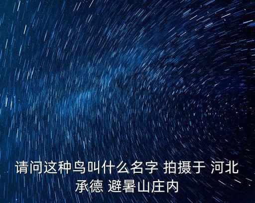 請問這種鳥叫什么名字 拍攝于 河北承德 避暑山莊內