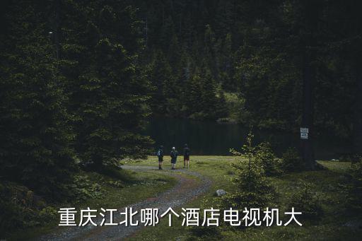 重慶江北哪個酒店電視機大
