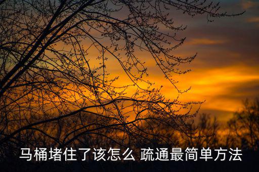 馬桶堵了疏通竅門,馬桶堵塞怎么疏通?