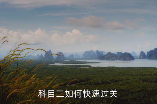科目二如何快速過關