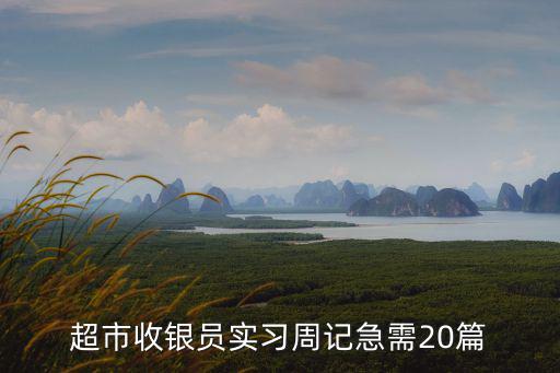 超市實習周記，超市收銀員實習周記急需20篇
