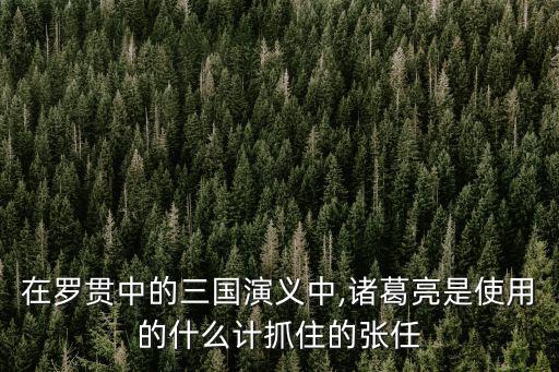 金雁橋,趙云甫被叫到金雁橋北:我引張任過橋卻攔在橋北