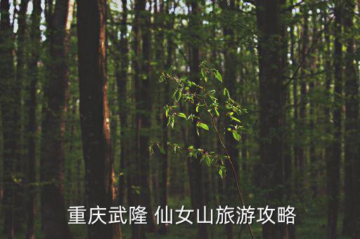 重慶仙女山,從城市到仙女山的路線有何不同?
