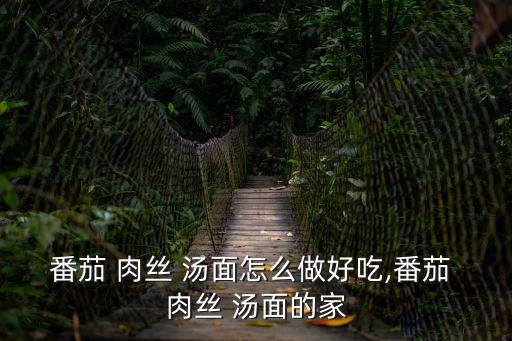 番茄 肉絲 湯面怎么做好吃,番茄 肉絲 湯面的家