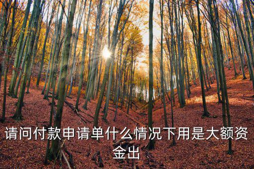 請問付款申請單什么情況下用是大額資金出