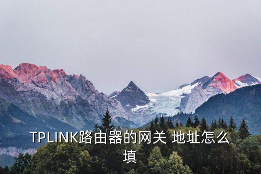 TPLINK路由器的網關 地址怎么填
