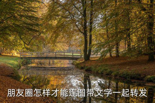 帶圖,如何用鼠標拖動手柄改變文字排版?