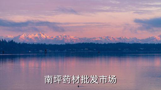 南坪藥材批發市場