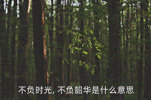 不負(fù)的意思,銳意進(jìn)取，不負(fù)華少四個(gè)字