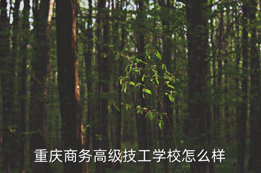 重慶商務(wù)高級(jí)技工學(xué)校怎么樣