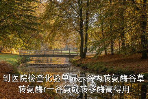 到醫(yī)院檢查化驗單顯示谷丙轉(zhuǎn)氨酶谷草轉(zhuǎn)氨酶r一谷氨酰轉(zhuǎn)移酶高得用