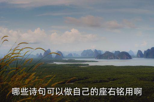哪些詩句可以做自己的座右銘用啊