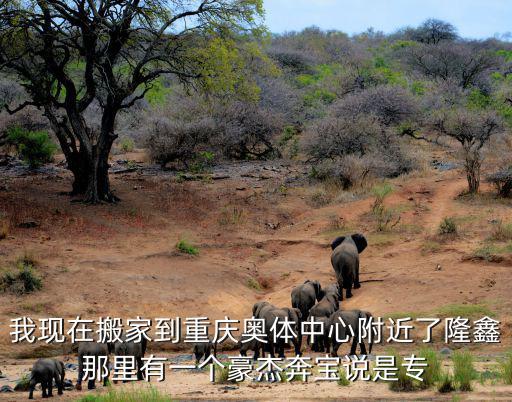 我現在搬家到重慶奧體中心附近了隆鑫那里有一個豪杰奔寶說是專