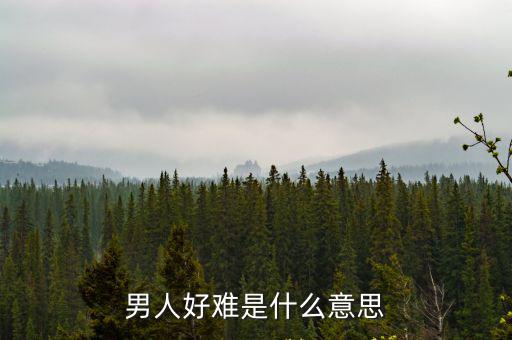 男人好難是什么意思