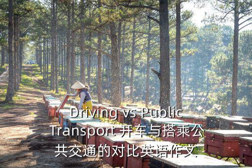 Driving vs Public Transport 開車與搭乘公共交通的對比英語作文