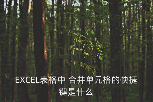 EXCEL表格中 合并單元格的快捷鍵是什么