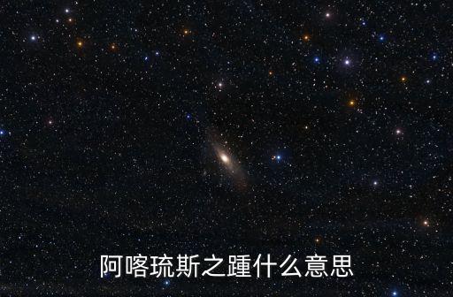 阿喀琉斯之踵什么意思