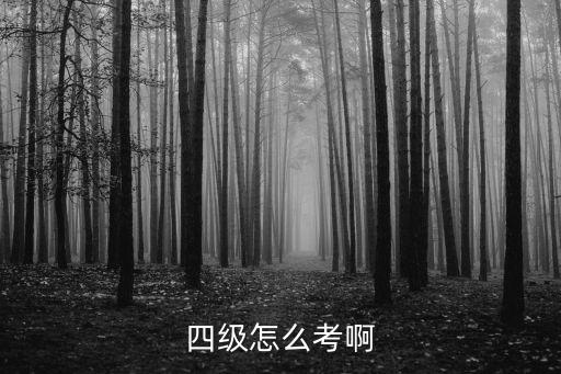 四級怎么考啊