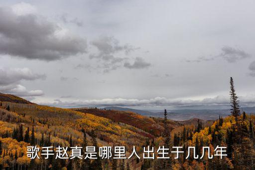 趙真?zhèn)€人資料，趙真有什么好聽(tīng)歌曲么
